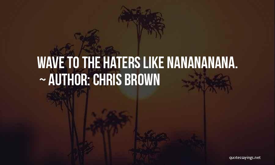 Chris Brown Quotes: Wave To The Haters Like Nanananana.