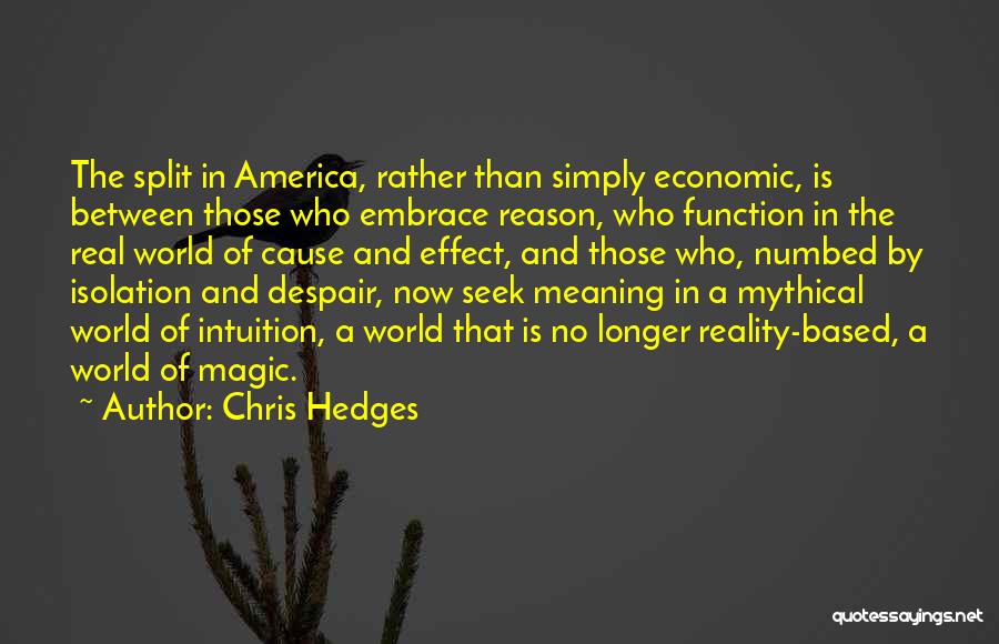 Chris Hedges Quotes: The Split In America, Rather Than Simply Economic, Is Between Those Who Embrace Reason, Who Function In The Real World
