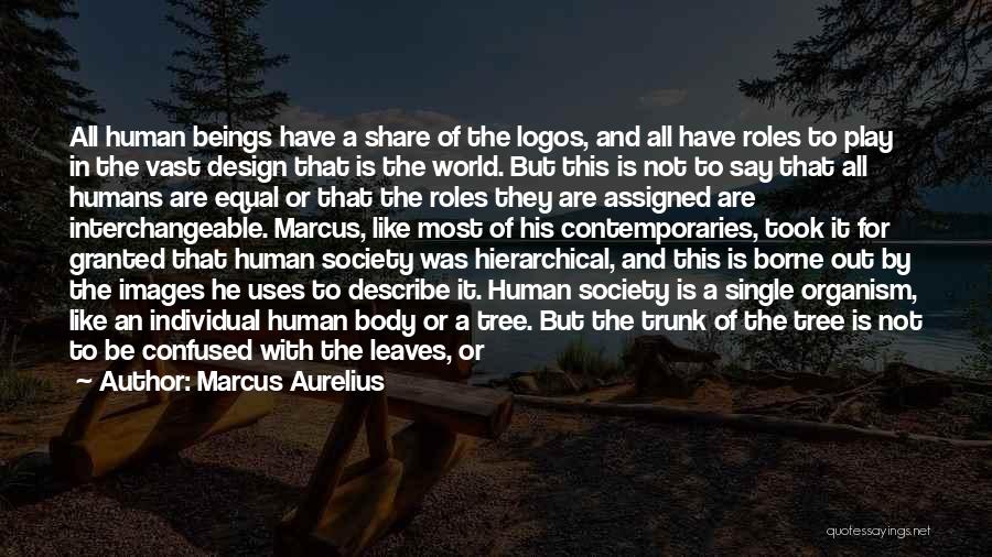 Marcus Aurelius Quotes: All Human Beings Have A Share Of The Logos, And All Have Roles To Play In The Vast Design That