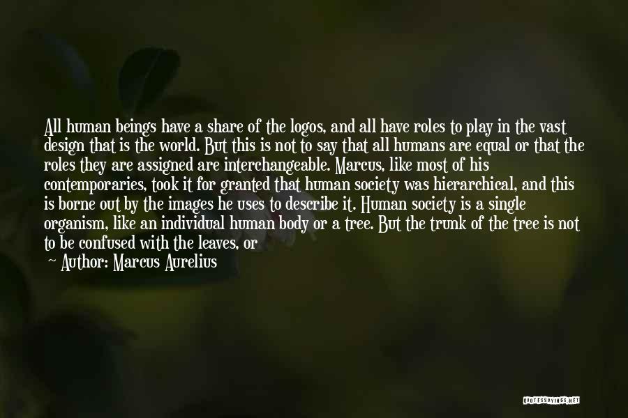 Marcus Aurelius Quotes: All Human Beings Have A Share Of The Logos, And All Have Roles To Play In The Vast Design That