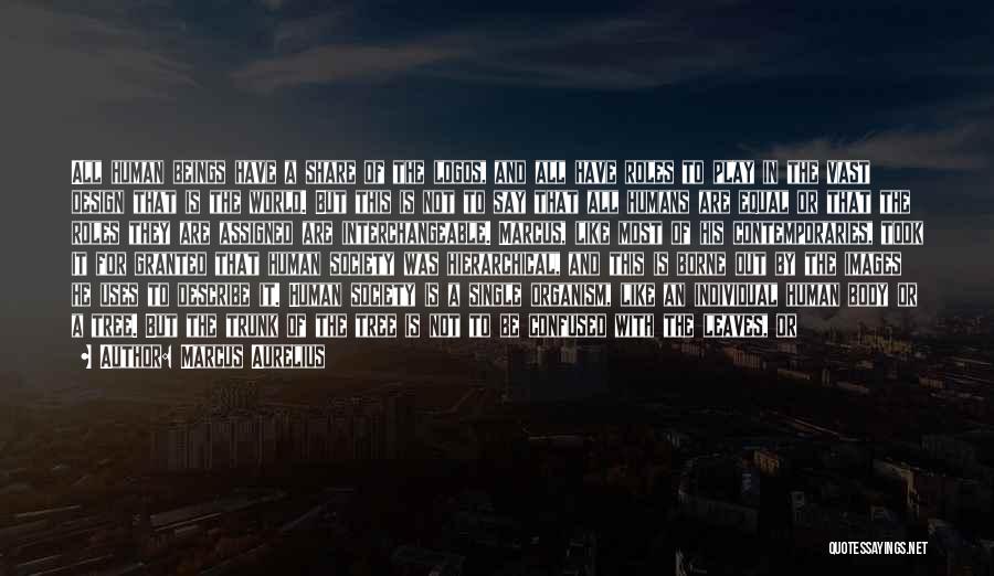 Marcus Aurelius Quotes: All Human Beings Have A Share Of The Logos, And All Have Roles To Play In The Vast Design That