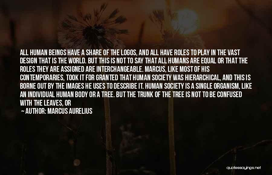 Marcus Aurelius Quotes: All Human Beings Have A Share Of The Logos, And All Have Roles To Play In The Vast Design That