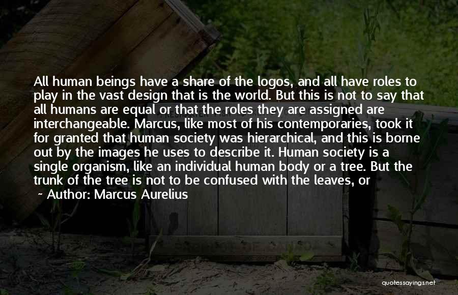 Marcus Aurelius Quotes: All Human Beings Have A Share Of The Logos, And All Have Roles To Play In The Vast Design That