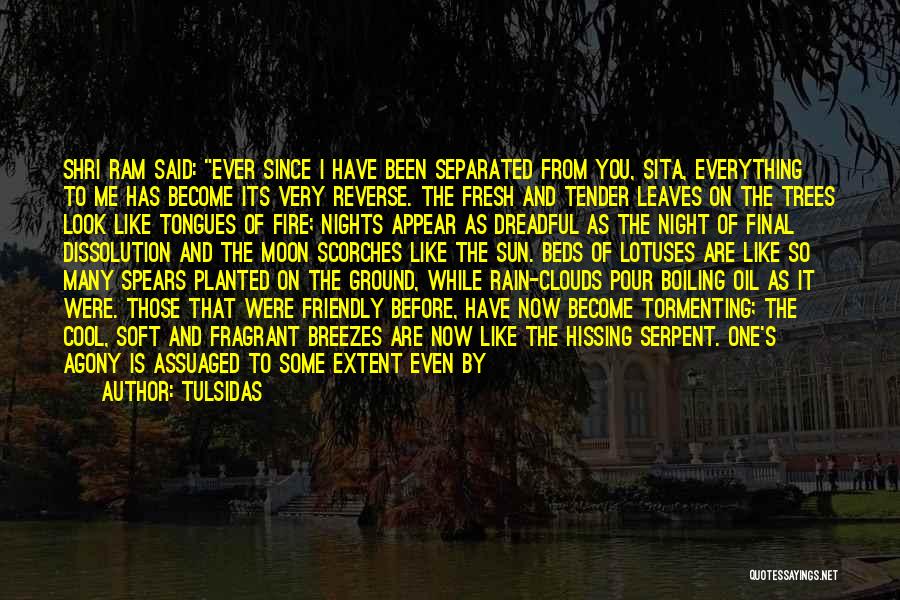 Tulsidas Quotes: Shri Ram Said: Ever Since I Have Been Separated From You, Sita, Everything To Me Has Become Its Very Reverse.