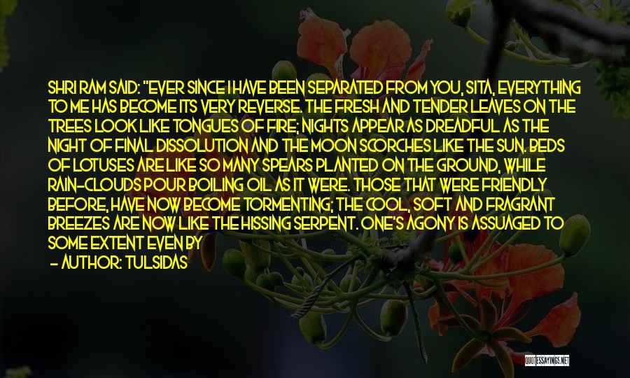 Tulsidas Quotes: Shri Ram Said: Ever Since I Have Been Separated From You, Sita, Everything To Me Has Become Its Very Reverse.
