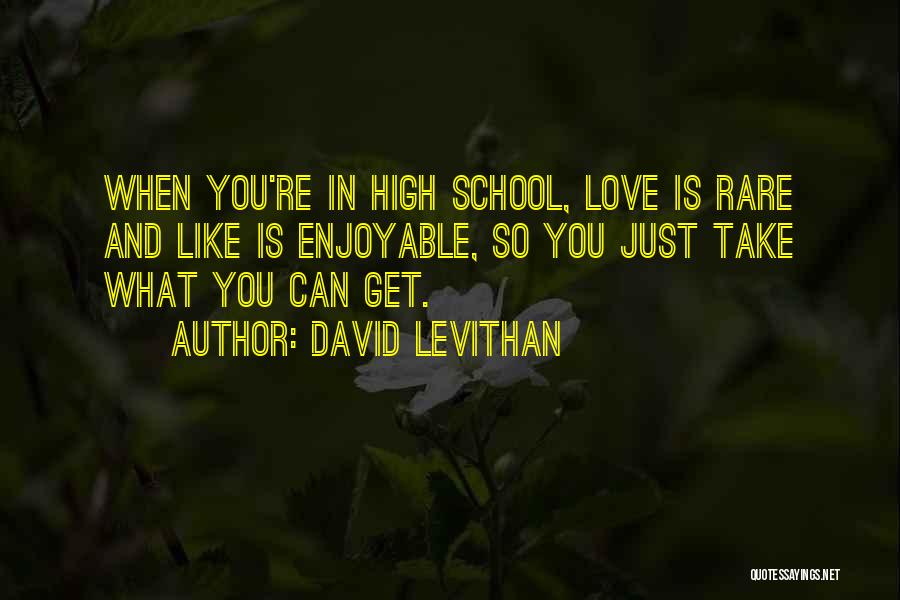 David Levithan Quotes: When You're In High School, Love Is Rare And Like Is Enjoyable, So You Just Take What You Can Get.