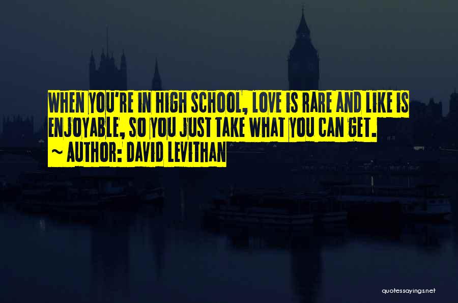 David Levithan Quotes: When You're In High School, Love Is Rare And Like Is Enjoyable, So You Just Take What You Can Get.