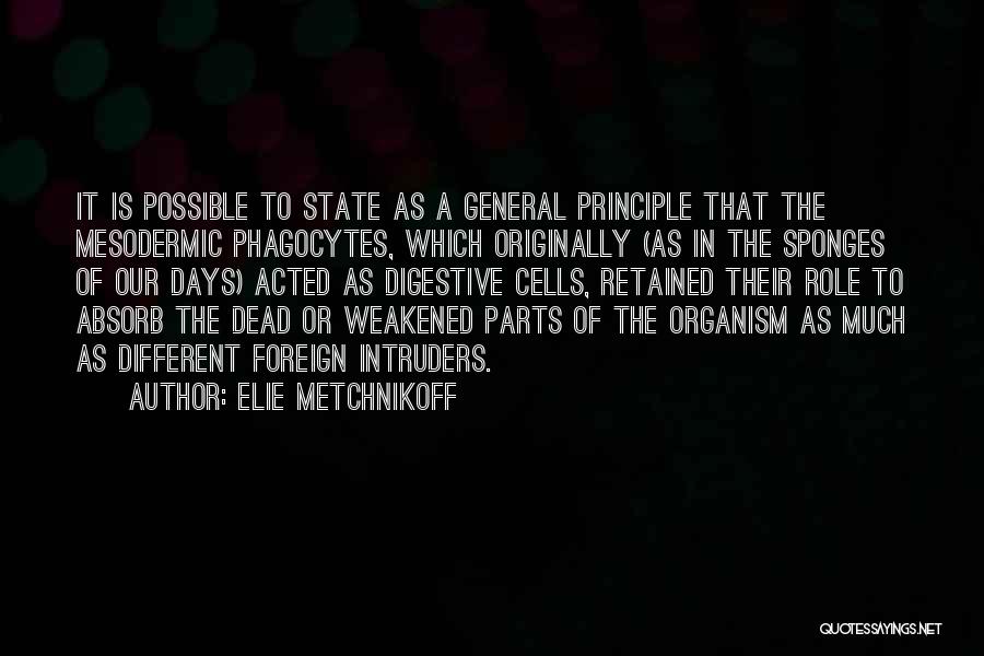 Elie Metchnikoff Quotes: It Is Possible To State As A General Principle That The Mesodermic Phagocytes, Which Originally (as In The Sponges Of