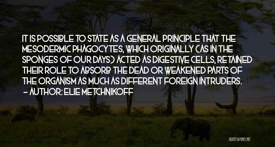 Elie Metchnikoff Quotes: It Is Possible To State As A General Principle That The Mesodermic Phagocytes, Which Originally (as In The Sponges Of