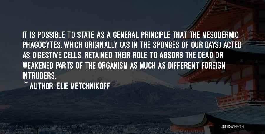 Elie Metchnikoff Quotes: It Is Possible To State As A General Principle That The Mesodermic Phagocytes, Which Originally (as In The Sponges Of