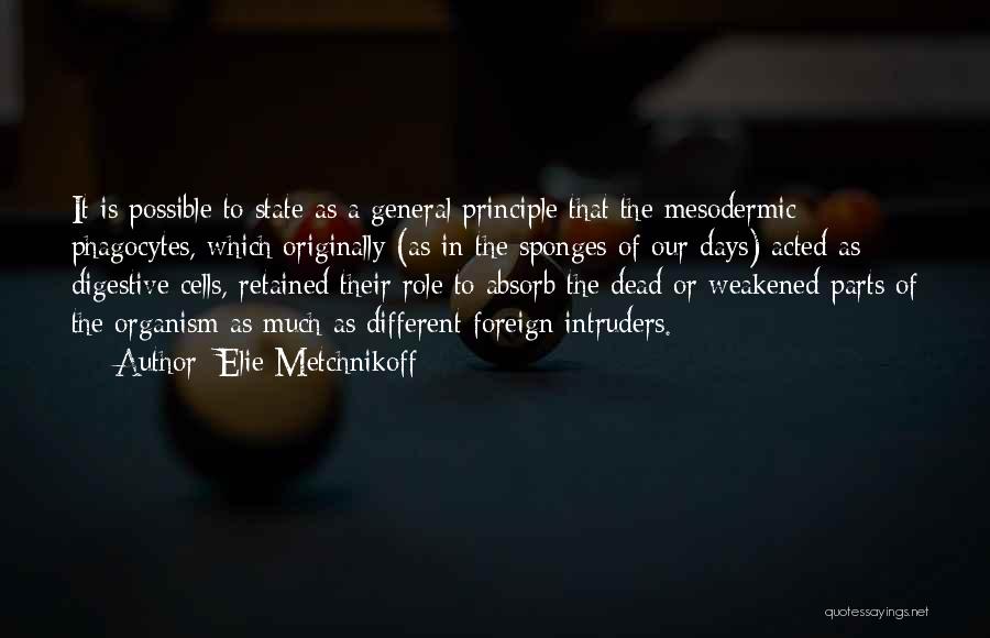 Elie Metchnikoff Quotes: It Is Possible To State As A General Principle That The Mesodermic Phagocytes, Which Originally (as In The Sponges Of