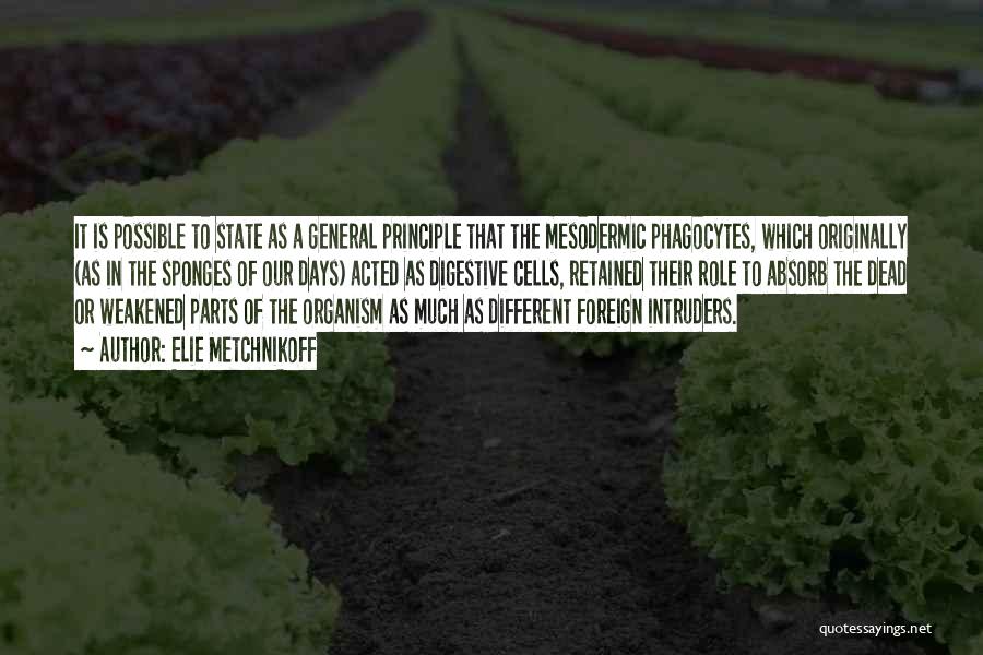 Elie Metchnikoff Quotes: It Is Possible To State As A General Principle That The Mesodermic Phagocytes, Which Originally (as In The Sponges Of