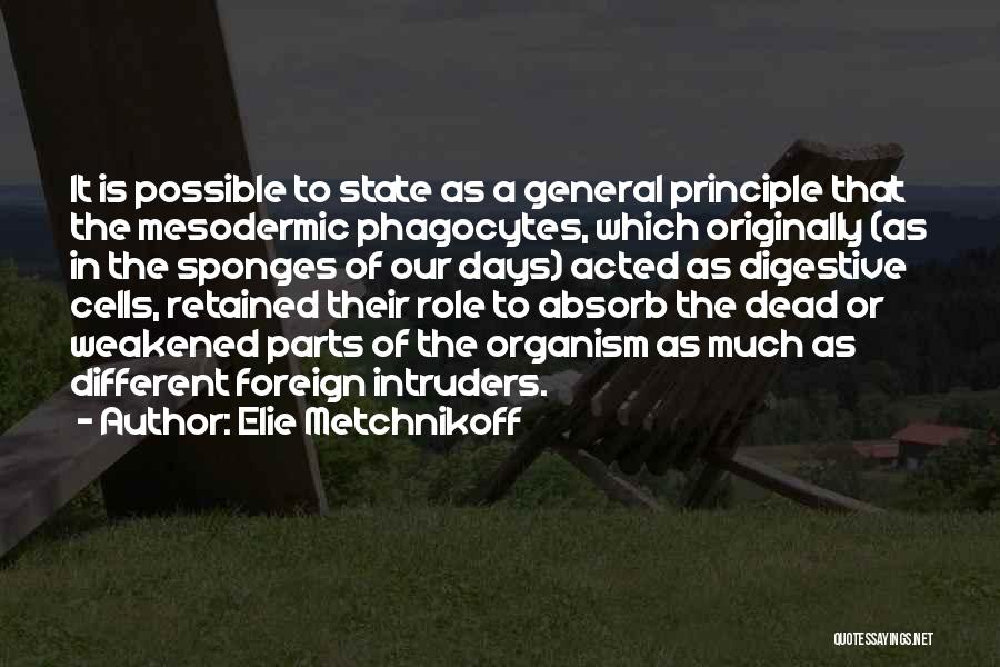 Elie Metchnikoff Quotes: It Is Possible To State As A General Principle That The Mesodermic Phagocytes, Which Originally (as In The Sponges Of
