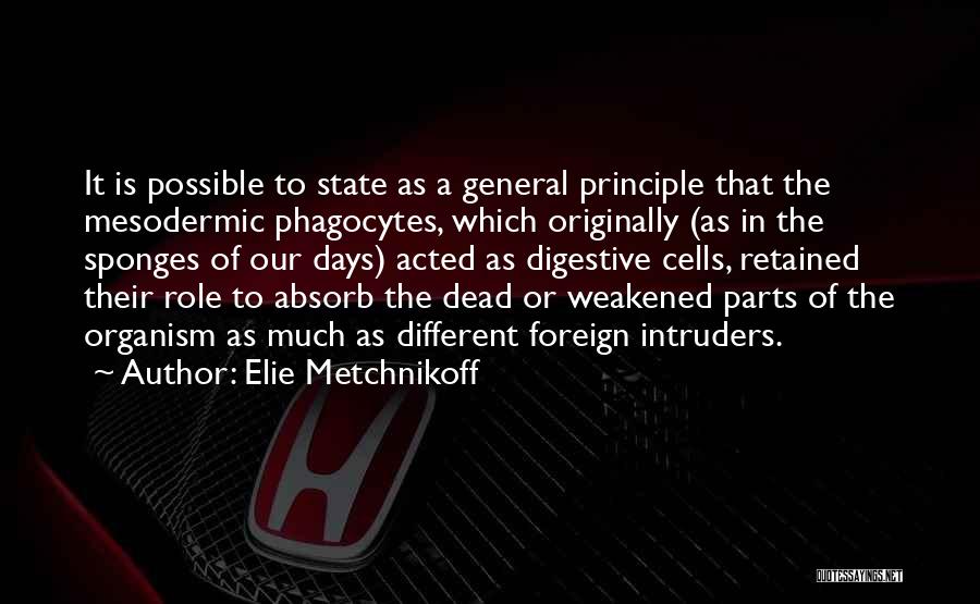 Elie Metchnikoff Quotes: It Is Possible To State As A General Principle That The Mesodermic Phagocytes, Which Originally (as In The Sponges Of