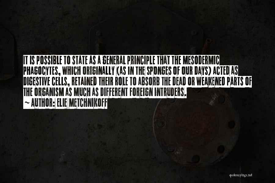 Elie Metchnikoff Quotes: It Is Possible To State As A General Principle That The Mesodermic Phagocytes, Which Originally (as In The Sponges Of