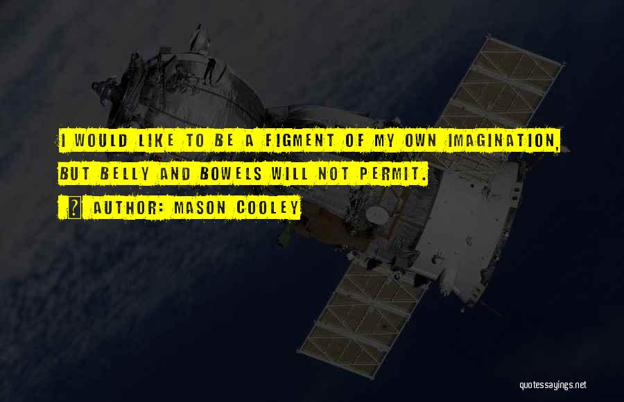 Mason Cooley Quotes: I Would Like To Be A Figment Of My Own Imagination, But Belly And Bowels Will Not Permit.