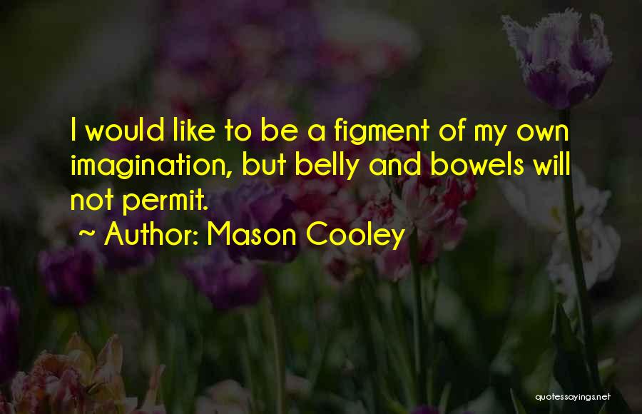 Mason Cooley Quotes: I Would Like To Be A Figment Of My Own Imagination, But Belly And Bowels Will Not Permit.