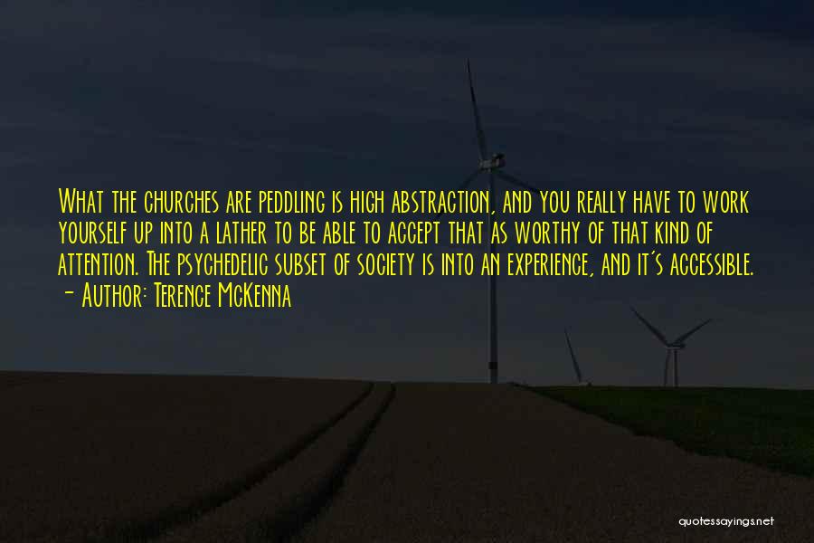 Terence McKenna Quotes: What The Churches Are Peddling Is High Abstraction, And You Really Have To Work Yourself Up Into A Lather To