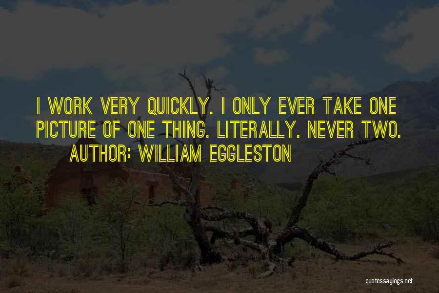 William Eggleston Quotes: I Work Very Quickly. I Only Ever Take One Picture Of One Thing. Literally. Never Two.