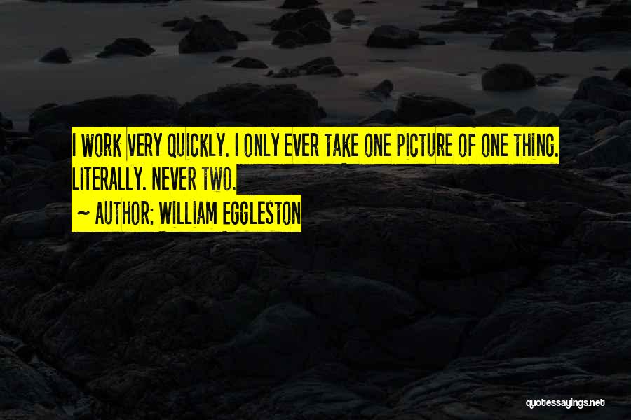 William Eggleston Quotes: I Work Very Quickly. I Only Ever Take One Picture Of One Thing. Literally. Never Two.