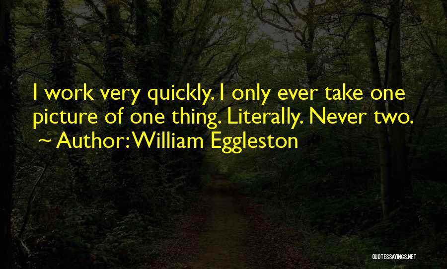 William Eggleston Quotes: I Work Very Quickly. I Only Ever Take One Picture Of One Thing. Literally. Never Two.