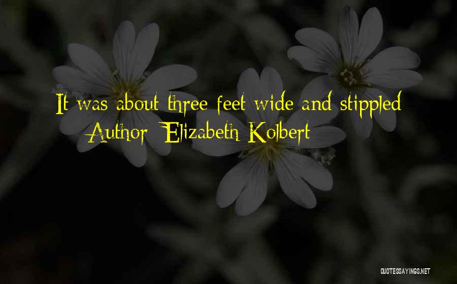 Elizabeth Kolbert Quotes: It Was About Three Feet Wide And Stippled