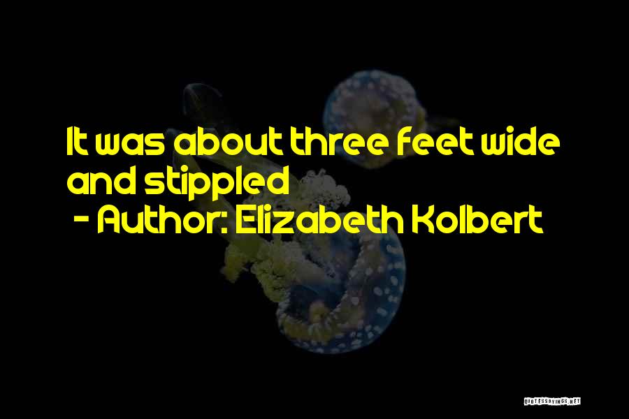 Elizabeth Kolbert Quotes: It Was About Three Feet Wide And Stippled