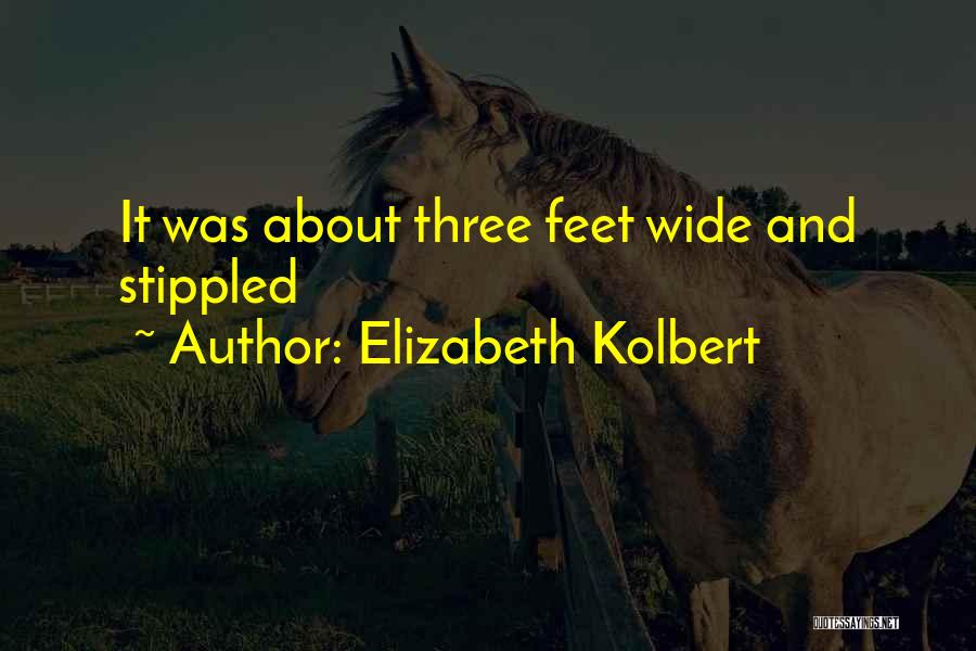 Elizabeth Kolbert Quotes: It Was About Three Feet Wide And Stippled
