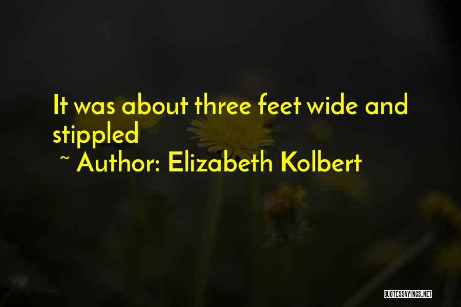 Elizabeth Kolbert Quotes: It Was About Three Feet Wide And Stippled