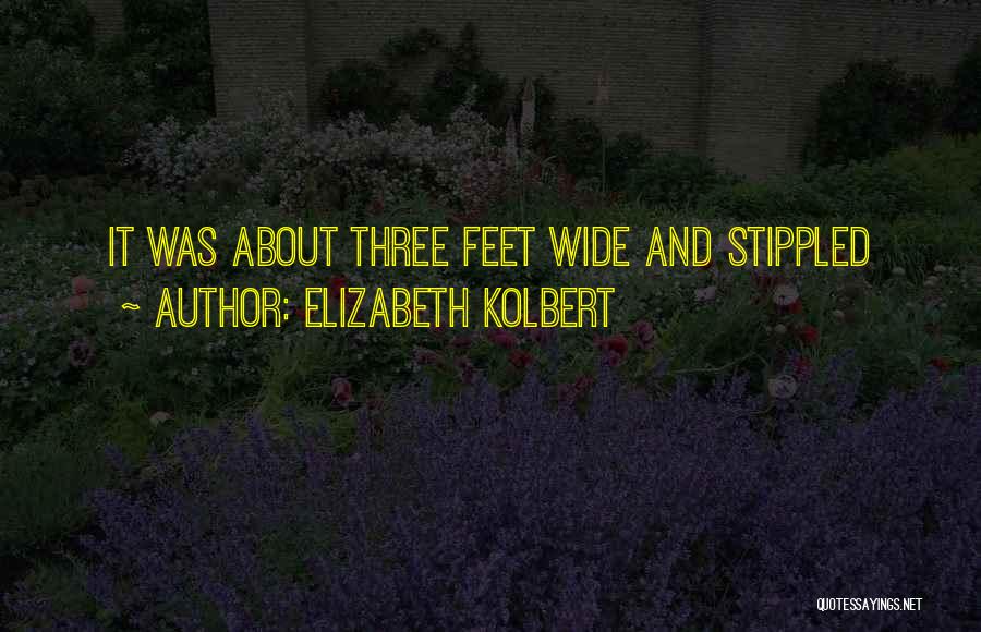 Elizabeth Kolbert Quotes: It Was About Three Feet Wide And Stippled