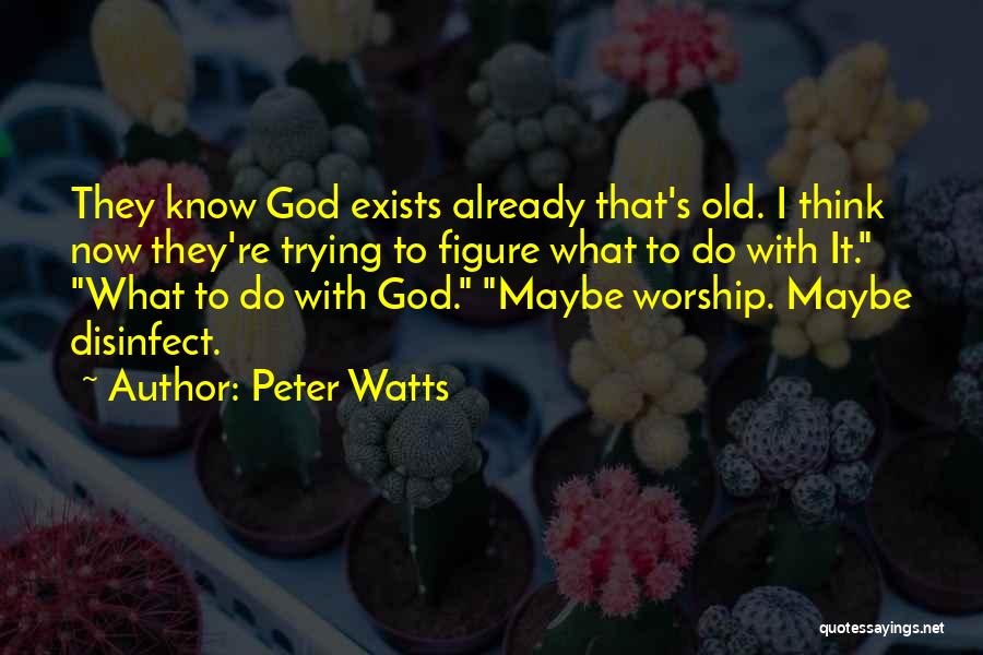 Peter Watts Quotes: They Know God Exists Already That's Old. I Think Now They're Trying To Figure What To Do With It. What