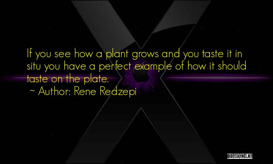 Rene Redzepi Quotes: If You See How A Plant Grows And You Taste It In Situ You Have A Perfect Example Of How