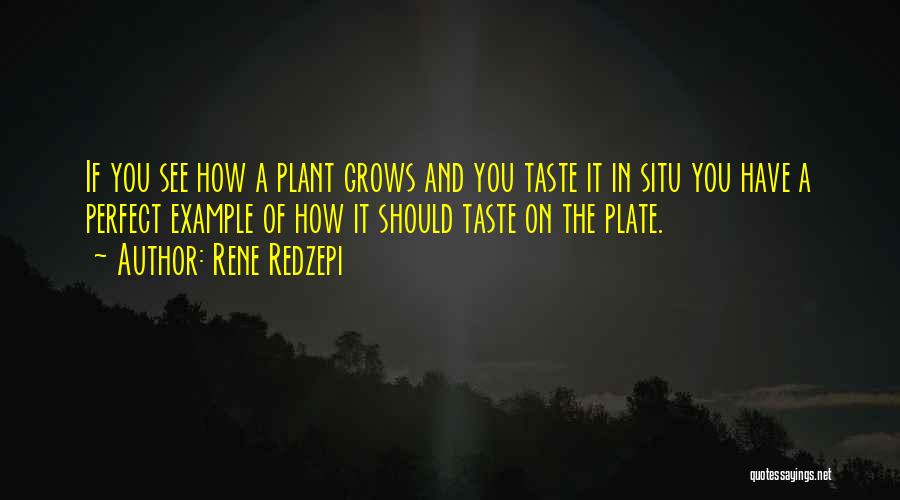 Rene Redzepi Quotes: If You See How A Plant Grows And You Taste It In Situ You Have A Perfect Example Of How