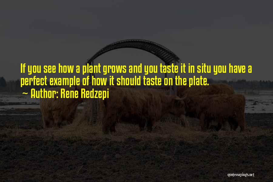 Rene Redzepi Quotes: If You See How A Plant Grows And You Taste It In Situ You Have A Perfect Example Of How