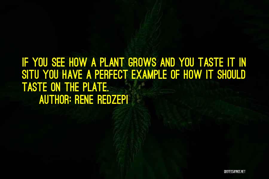 Rene Redzepi Quotes: If You See How A Plant Grows And You Taste It In Situ You Have A Perfect Example Of How
