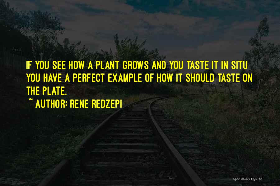 Rene Redzepi Quotes: If You See How A Plant Grows And You Taste It In Situ You Have A Perfect Example Of How