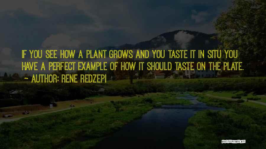 Rene Redzepi Quotes: If You See How A Plant Grows And You Taste It In Situ You Have A Perfect Example Of How