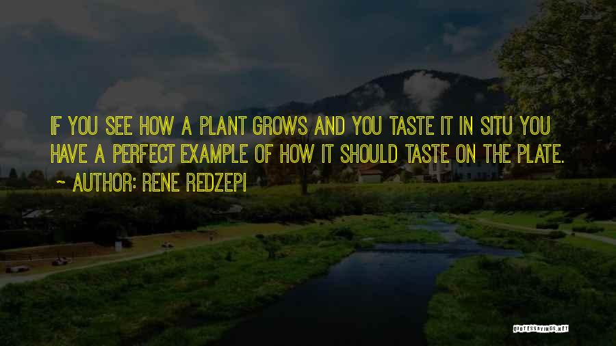 Rene Redzepi Quotes: If You See How A Plant Grows And You Taste It In Situ You Have A Perfect Example Of How