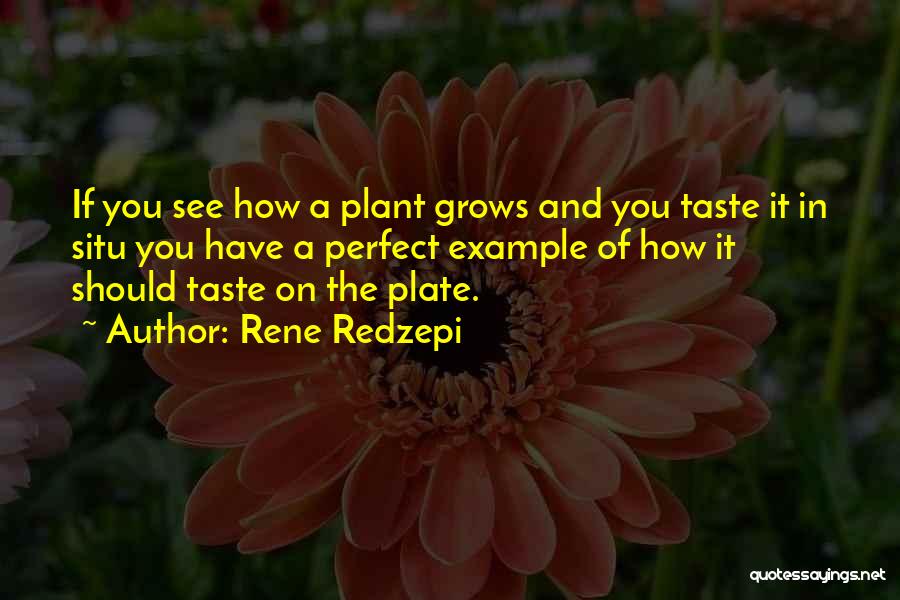 Rene Redzepi Quotes: If You See How A Plant Grows And You Taste It In Situ You Have A Perfect Example Of How