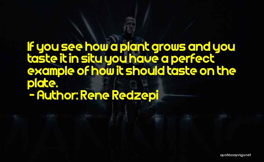 Rene Redzepi Quotes: If You See How A Plant Grows And You Taste It In Situ You Have A Perfect Example Of How