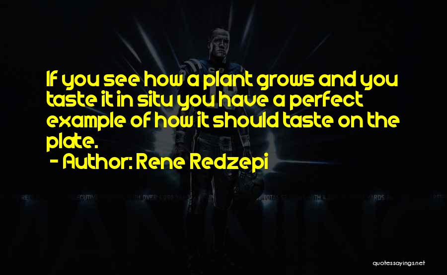 Rene Redzepi Quotes: If You See How A Plant Grows And You Taste It In Situ You Have A Perfect Example Of How