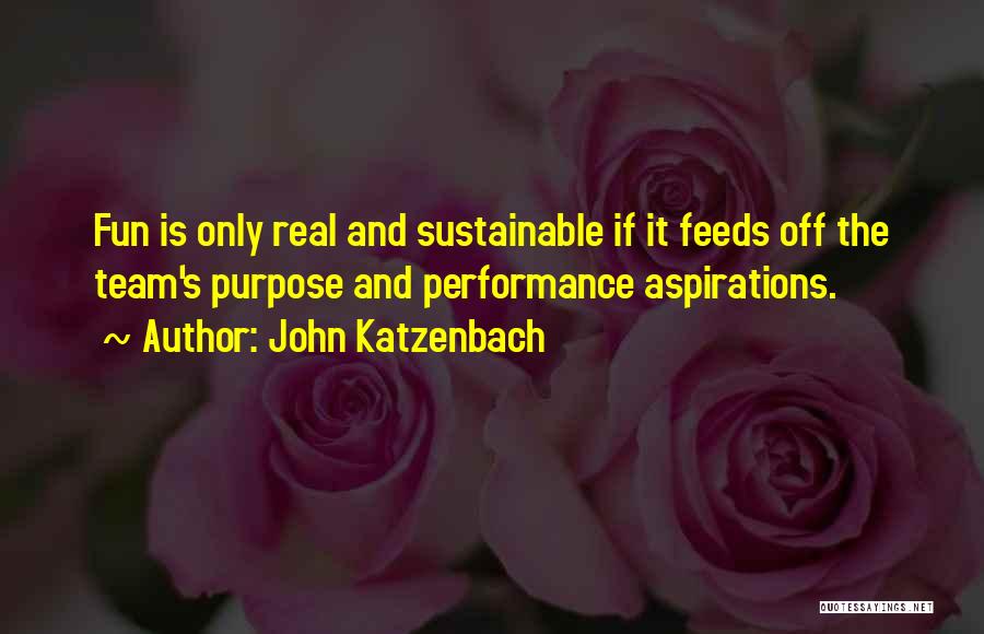 John Katzenbach Quotes: Fun Is Only Real And Sustainable If It Feeds Off The Team's Purpose And Performance Aspirations.