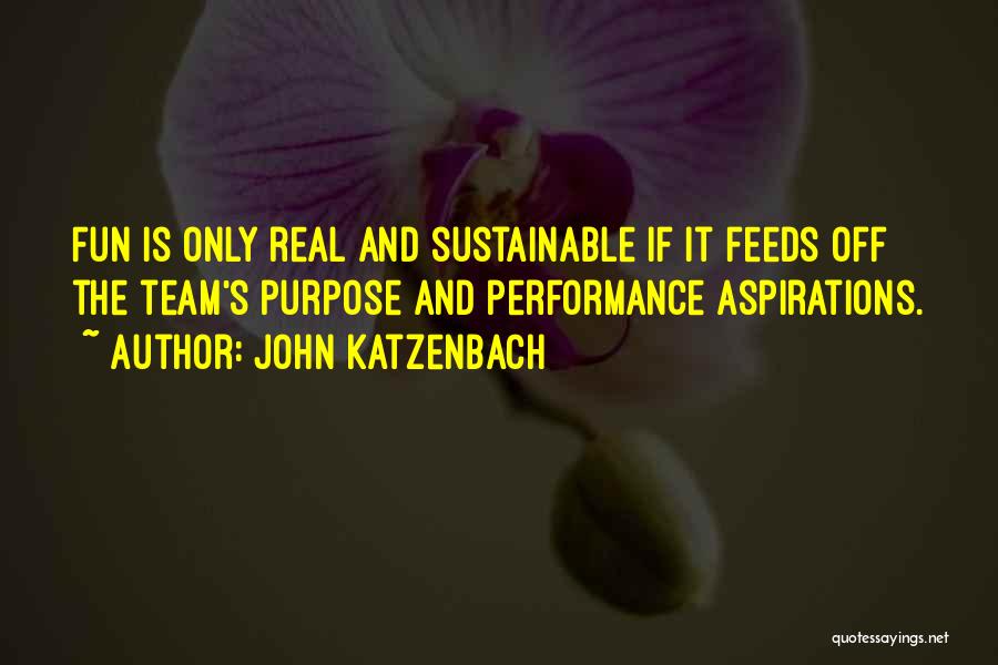 John Katzenbach Quotes: Fun Is Only Real And Sustainable If It Feeds Off The Team's Purpose And Performance Aspirations.