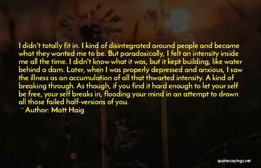 Matt Haig Quotes: I Didn't Totally Fit In. I Kind Of Disintegrated Around People And Became What They Wanted Me To Be. But