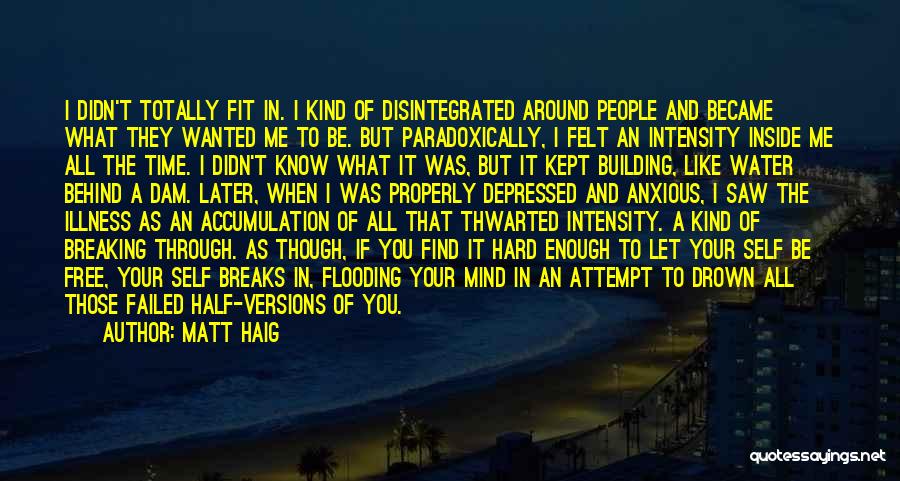 Matt Haig Quotes: I Didn't Totally Fit In. I Kind Of Disintegrated Around People And Became What They Wanted Me To Be. But