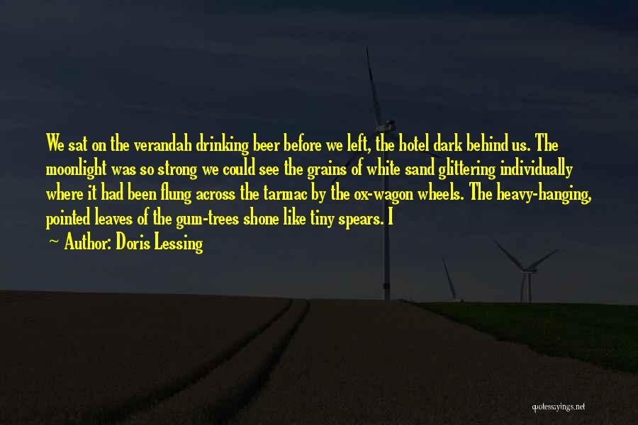 Doris Lessing Quotes: We Sat On The Verandah Drinking Beer Before We Left, The Hotel Dark Behind Us. The Moonlight Was So Strong