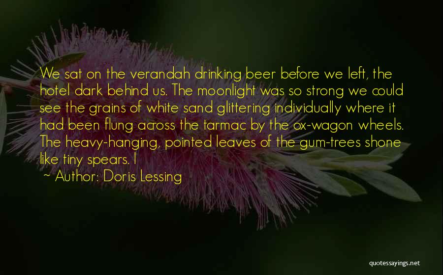 Doris Lessing Quotes: We Sat On The Verandah Drinking Beer Before We Left, The Hotel Dark Behind Us. The Moonlight Was So Strong