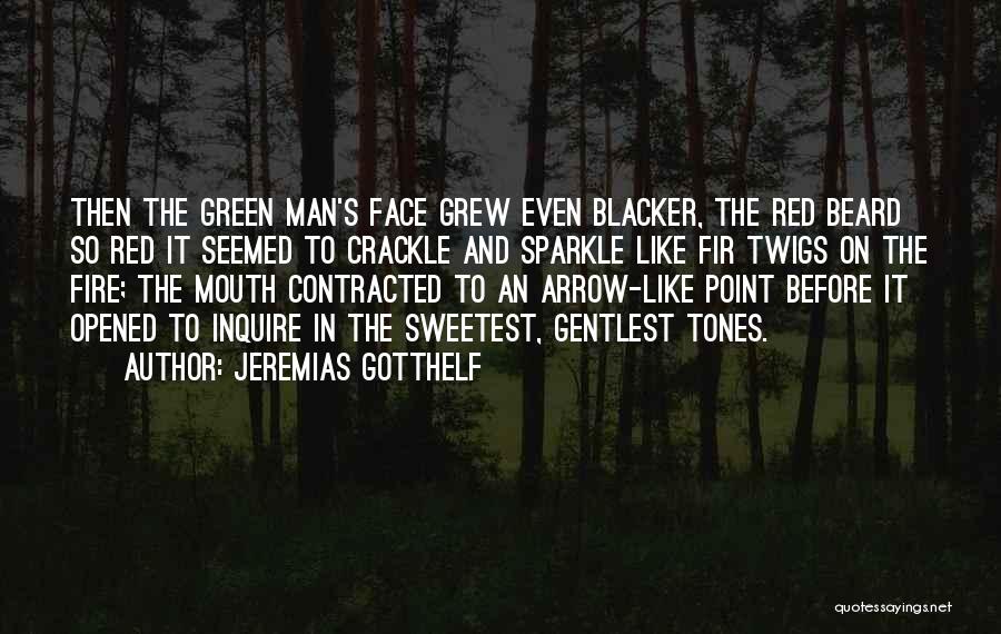 Jeremias Gotthelf Quotes: Then The Green Man's Face Grew Even Blacker, The Red Beard So Red It Seemed To Crackle And Sparkle Like