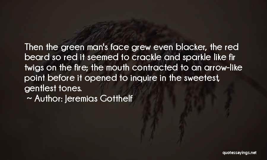 Jeremias Gotthelf Quotes: Then The Green Man's Face Grew Even Blacker, The Red Beard So Red It Seemed To Crackle And Sparkle Like