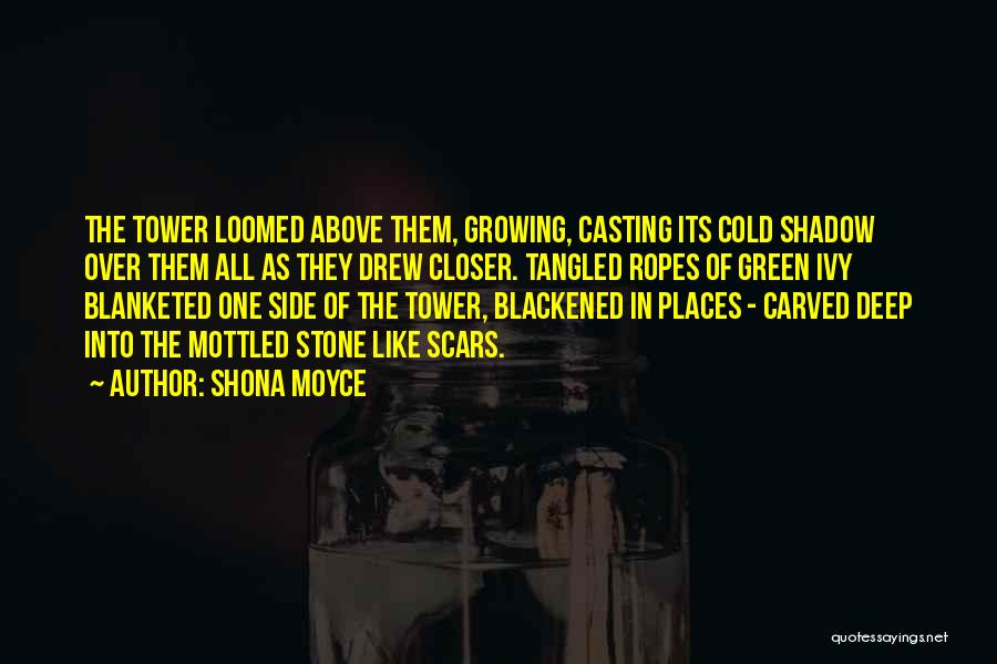 Shona Moyce Quotes: The Tower Loomed Above Them, Growing, Casting Its Cold Shadow Over Them All As They Drew Closer. Tangled Ropes Of